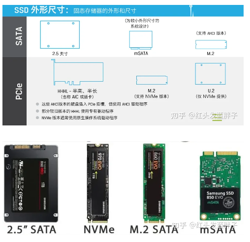 image-20230813181631255